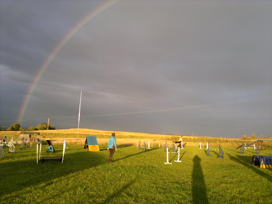 Stirling-Dog-Agility12